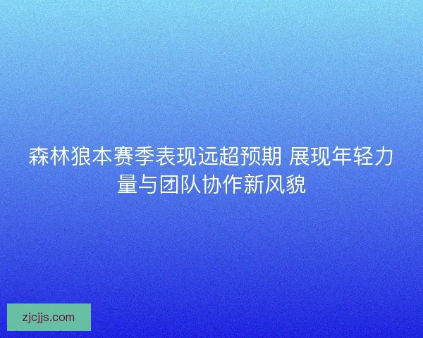 森林狼本赛季表现远超预期 展现年轻力量与团队协作新风貌